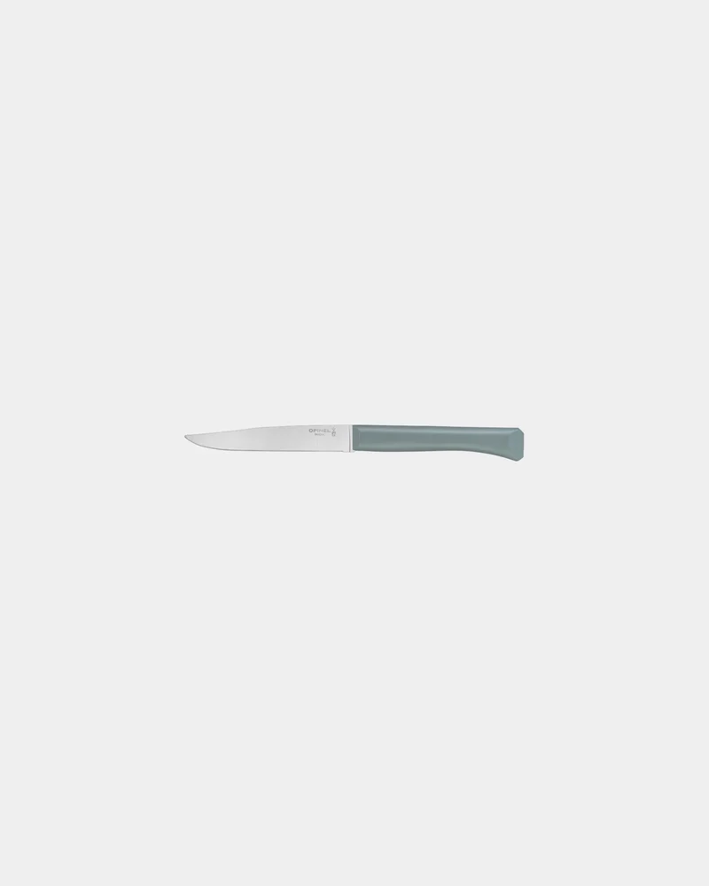 Coffret de 4 couteaux de table inox Opinel Bon Appétit à personnaliser
