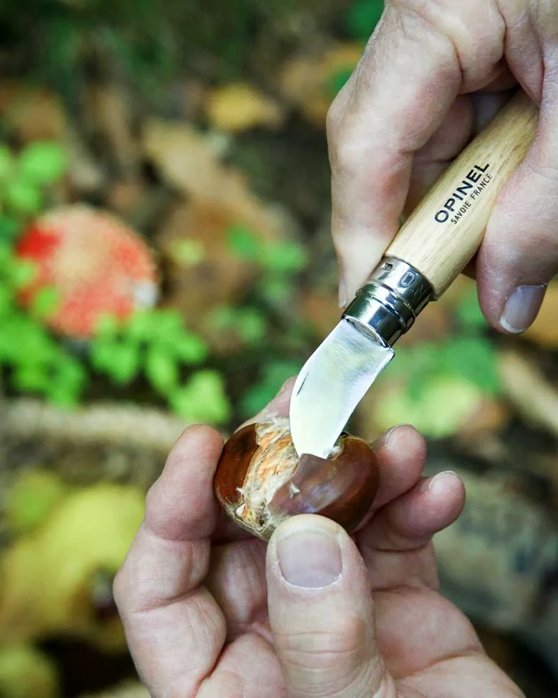 Couteau à châtaigne Opinel N°07 à personnaliser