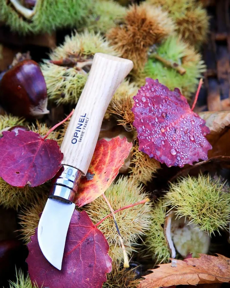 Couteau à châtaigne Opinel N°07 à personnaliser