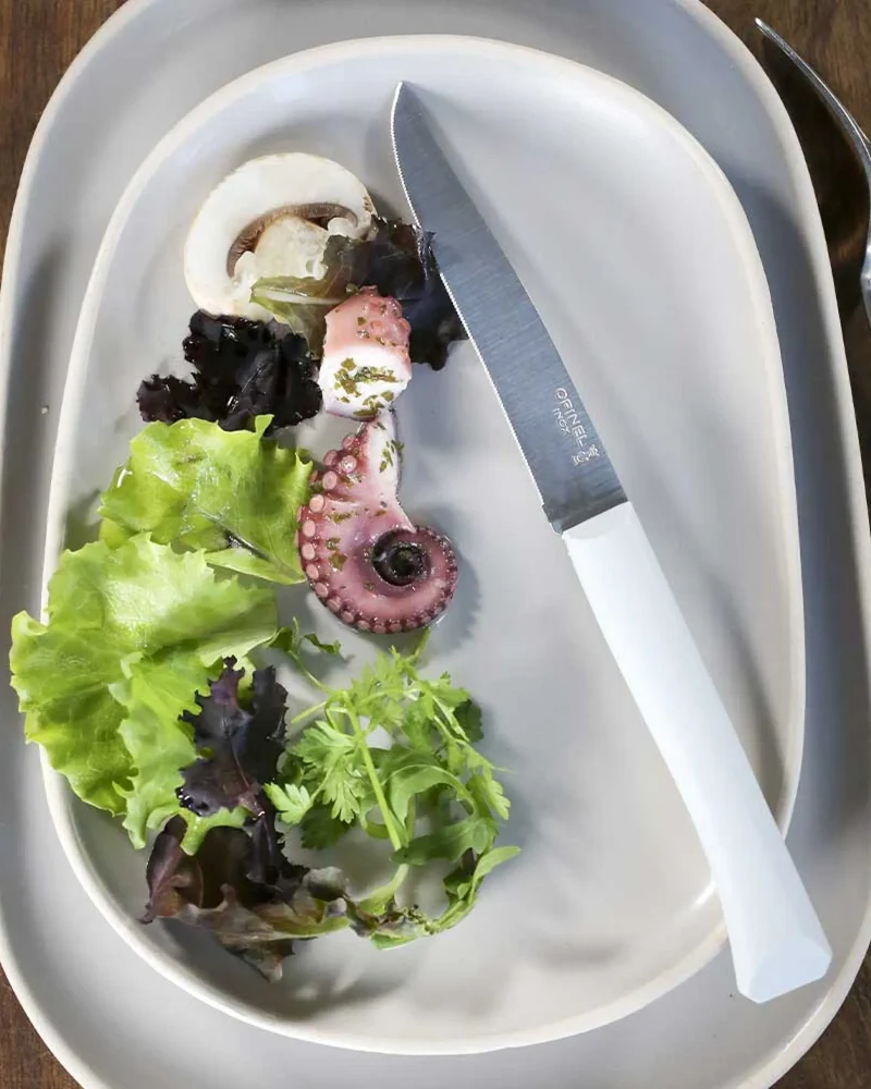 Couteau de table acier inoxydable Opinel Bon Appétit à personnaliser