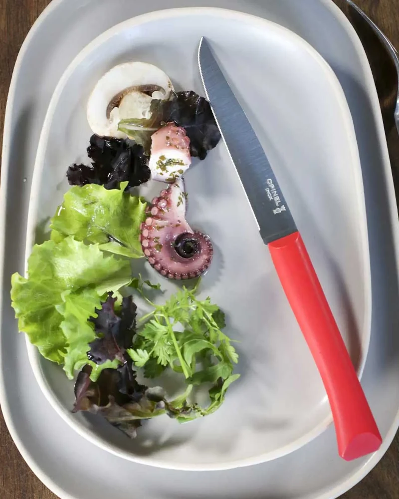 Couteau de table acier inoxydable Opinel Bon Appétit à personnaliser