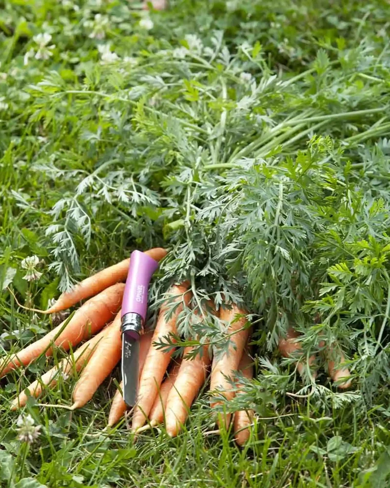 Couteau acier inoxydable Opinel Mon Premier à personnaliser