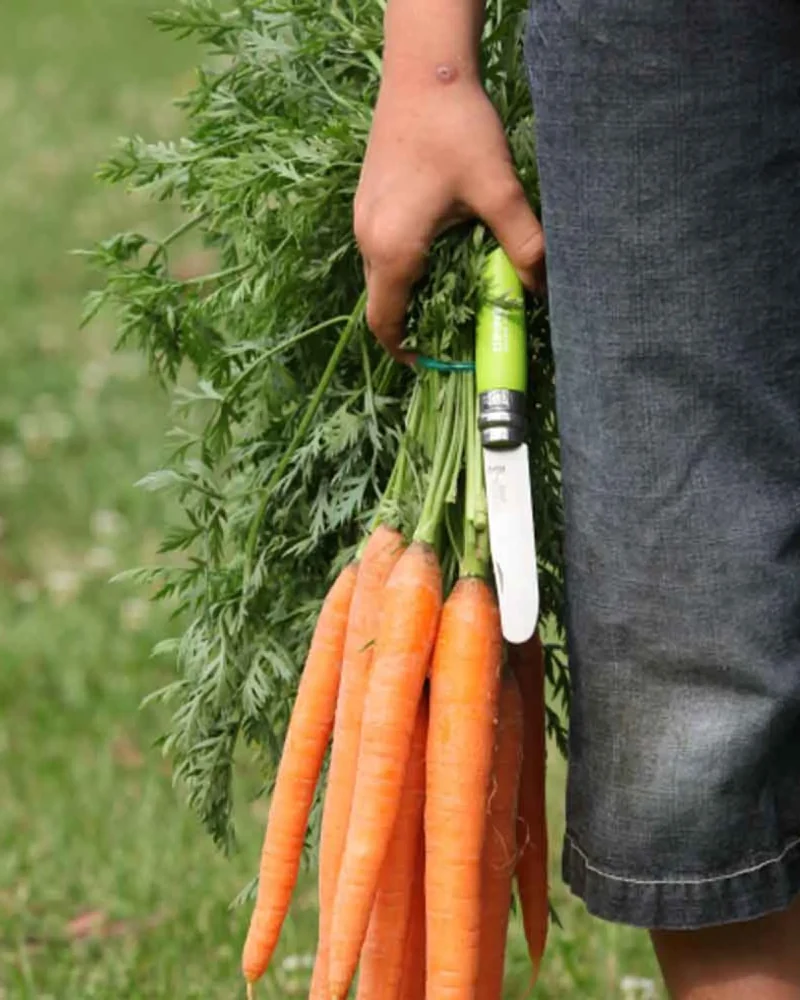 Couteau acier inoxydable Opinel Mon Premier à personnaliser