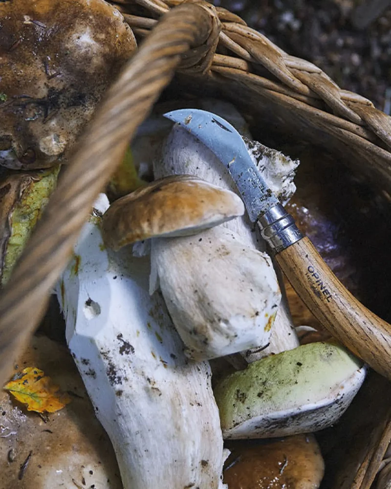 Couteau à champignon acier inox Opinel à personnaliser