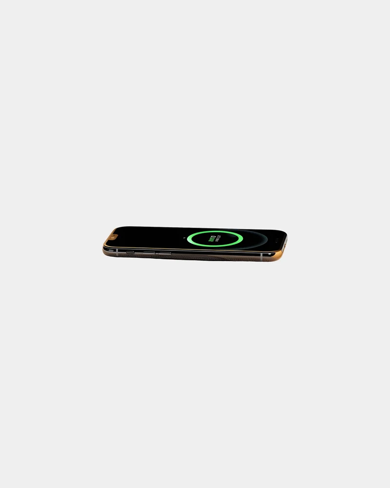 Enceinte alarme induction Bluetooth Speaker - Blaupunkt à personnaliser