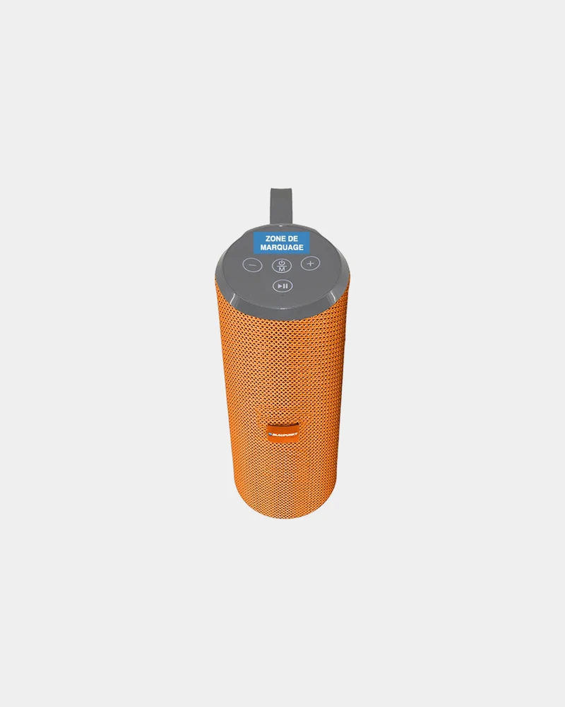 Enceinte Bluetooth 10W Blaupunkt à personnaliser