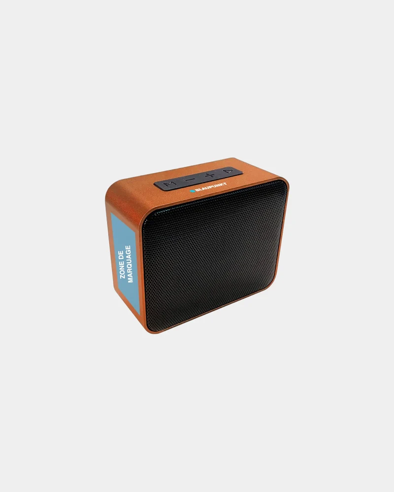 Enceinte métal aluminium 5W Blaupunkt à personnaliser