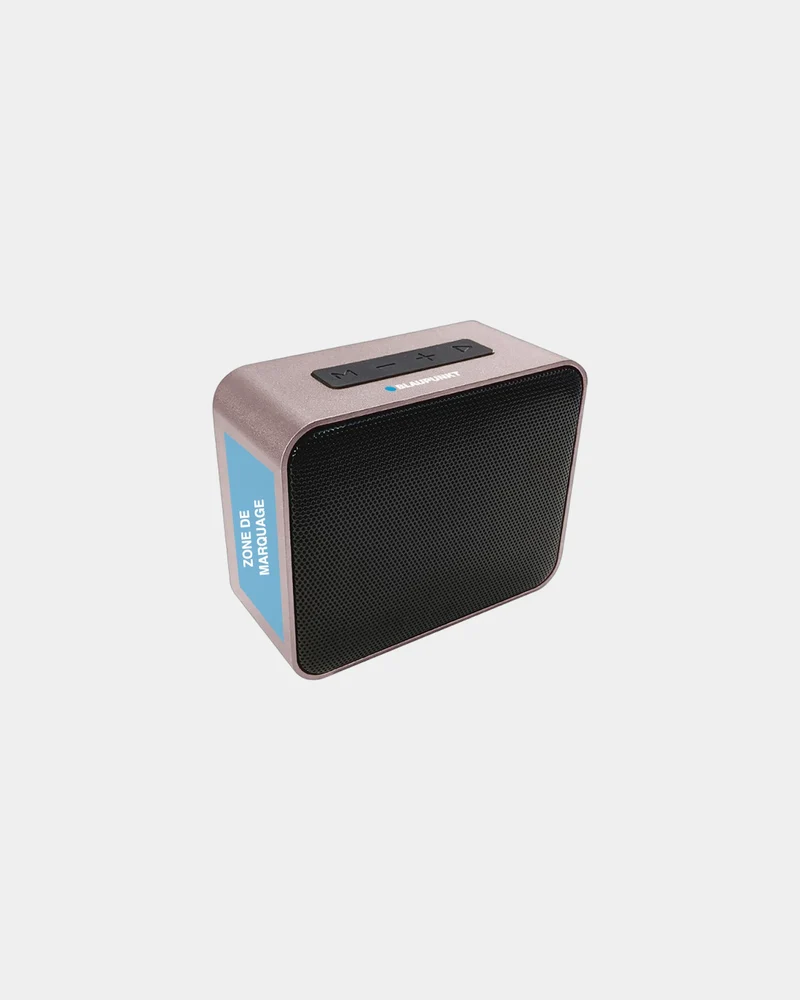 Enceinte métal aluminium 5W Blaupunkt à personnaliser