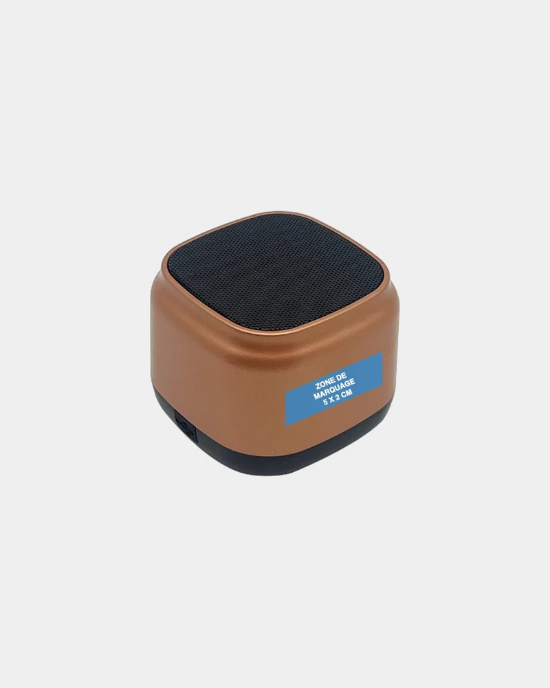 Enceinte Bluetooth 5W Bluetech à personnaliser