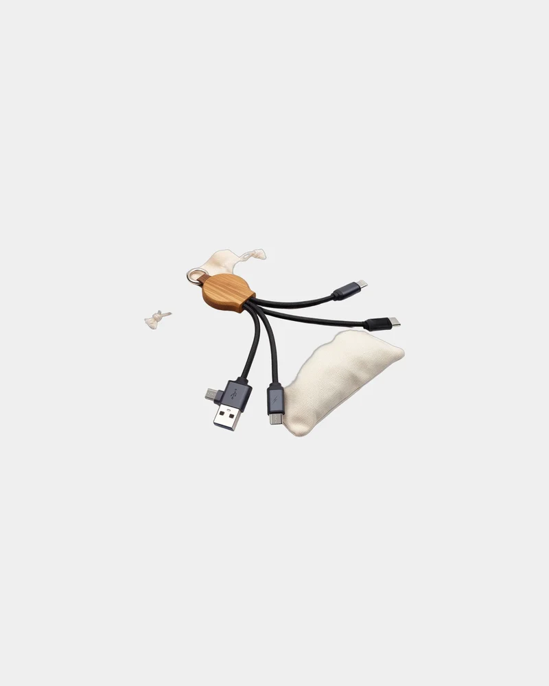 Câble porte-clés recyclé 5-en-1 Bluetech à personnaliser