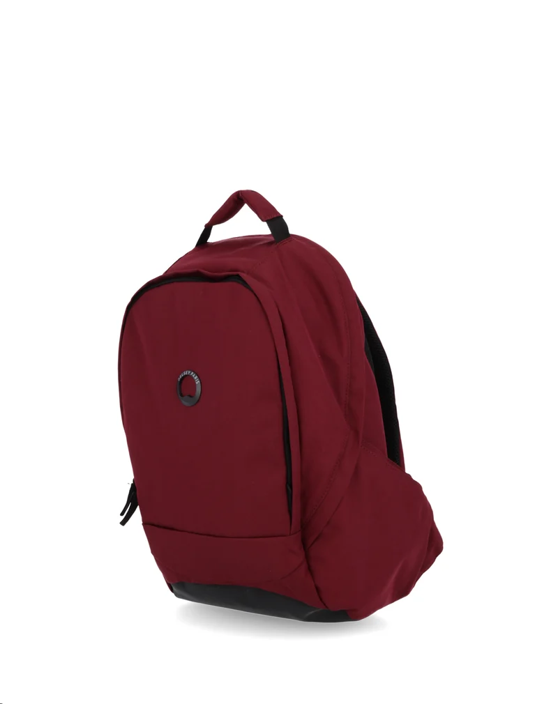 Sac à dos ordinateur Delsey SECURBAN PC 13"