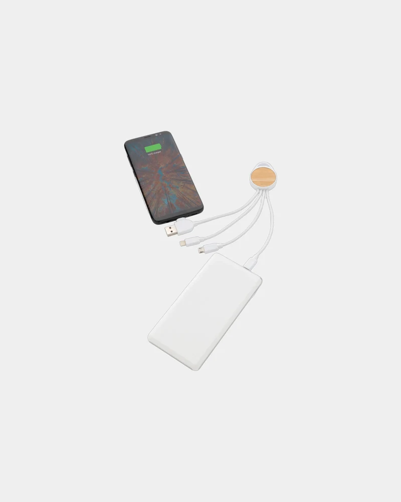 Câble recyclé 6-en-1 à personnaliser