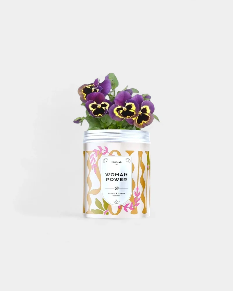 Kits de graines à planter personnalisable