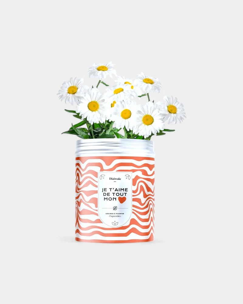 Kits de graines à planter personnalisable
