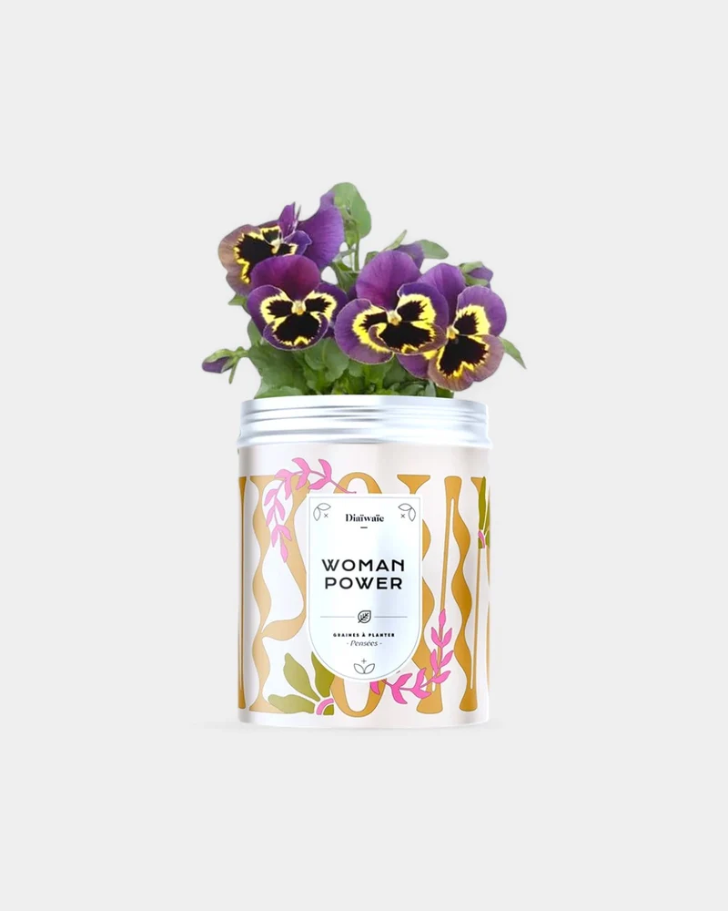 Kits de graines à planter personnalisable