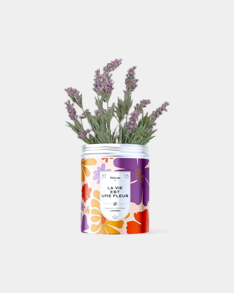 Kits de graines à planter personnalisable