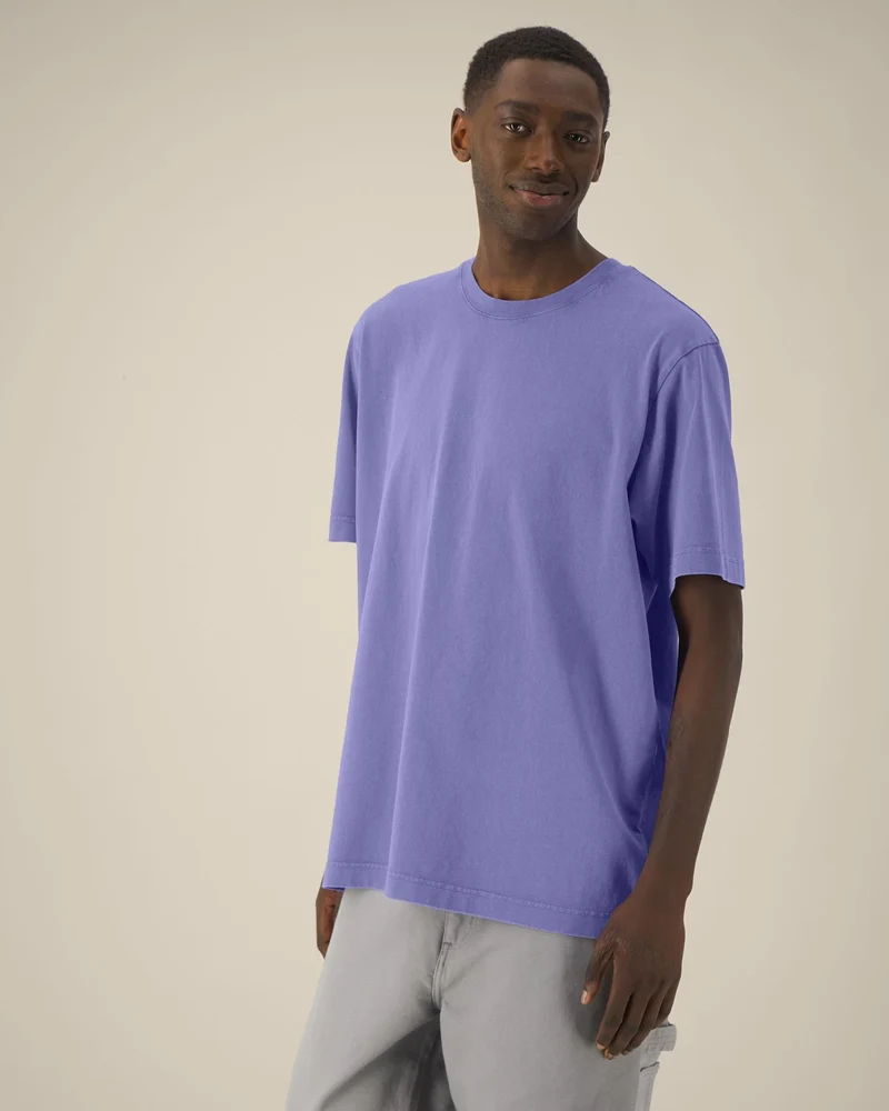 T-shirt unisexe épais coton bio Stanley/Stella Freestyler Vintage à personnaliser