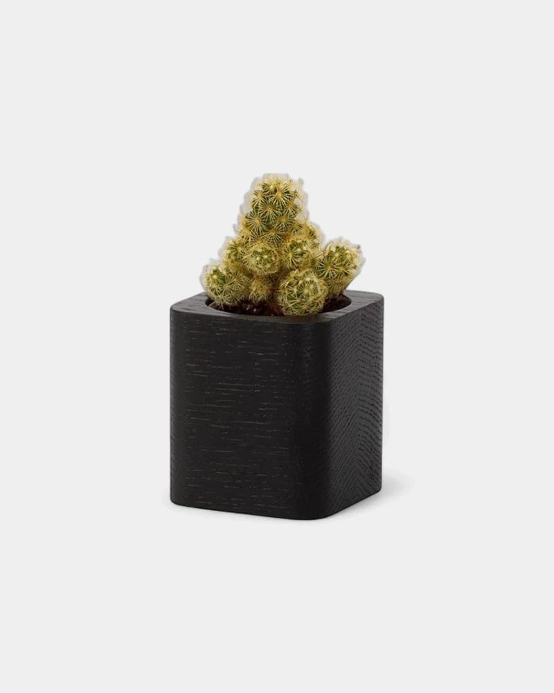Pot cubique à personnaliser