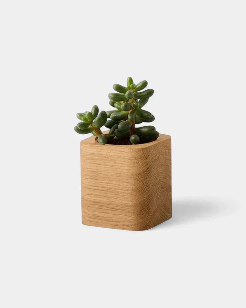 Pot cubique à personnaliser