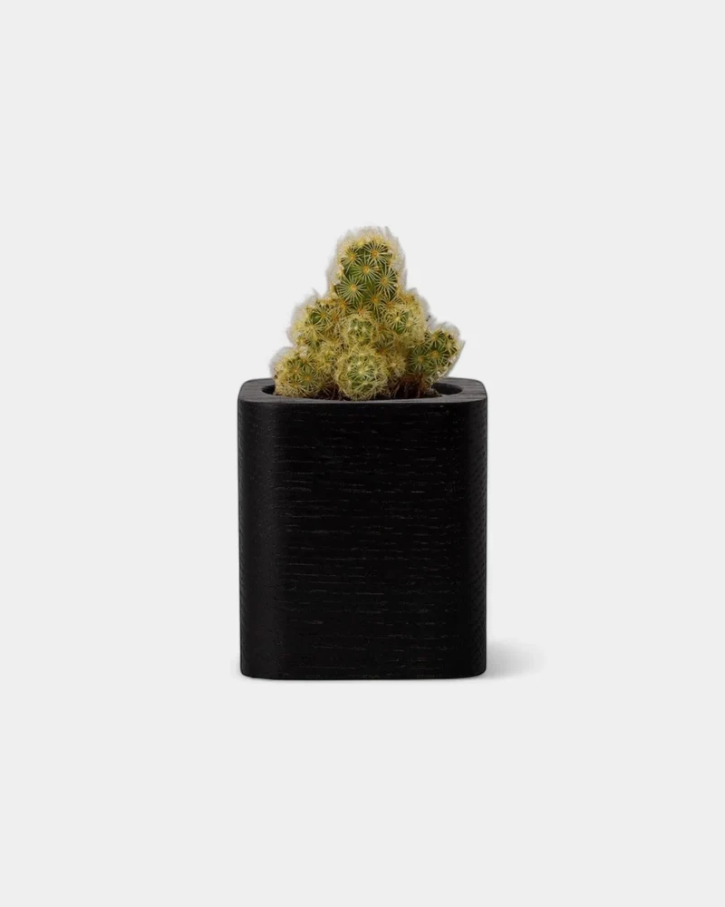 Pot cubique à personnaliser