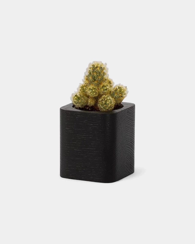 Pot cubique à personnaliser