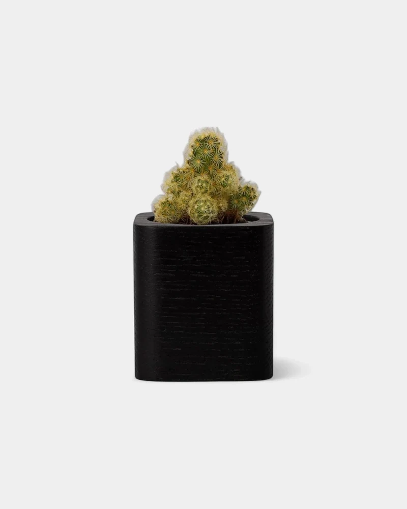 Pot cubique à personnaliser