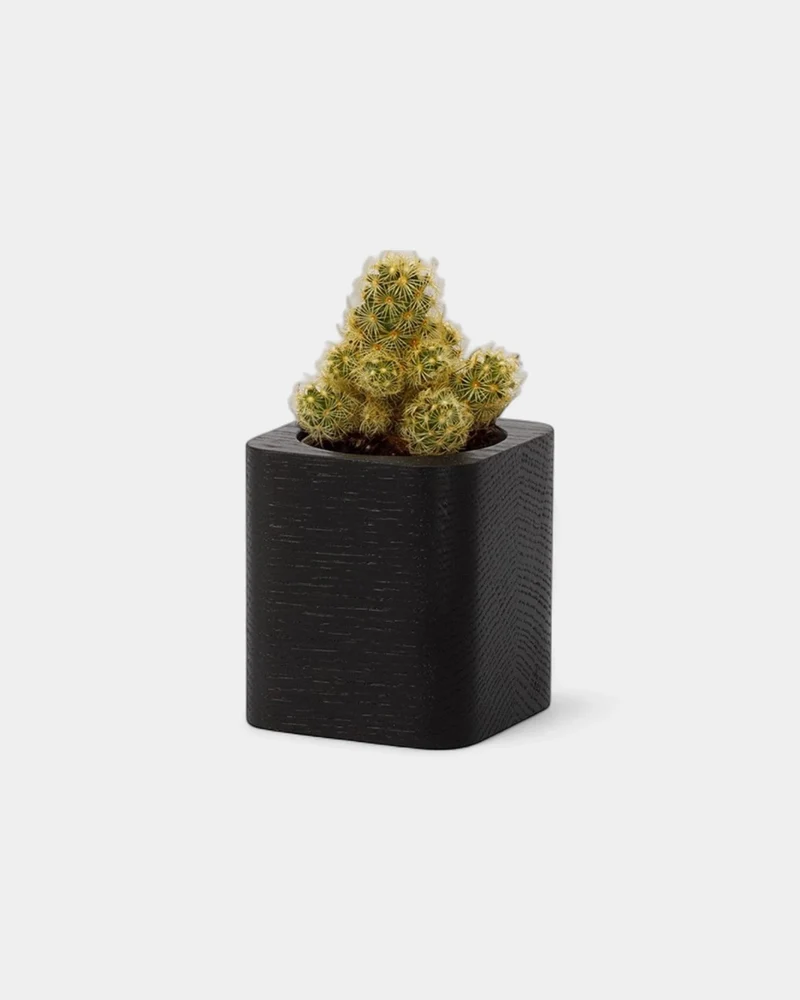 Pot cubique à personnaliser