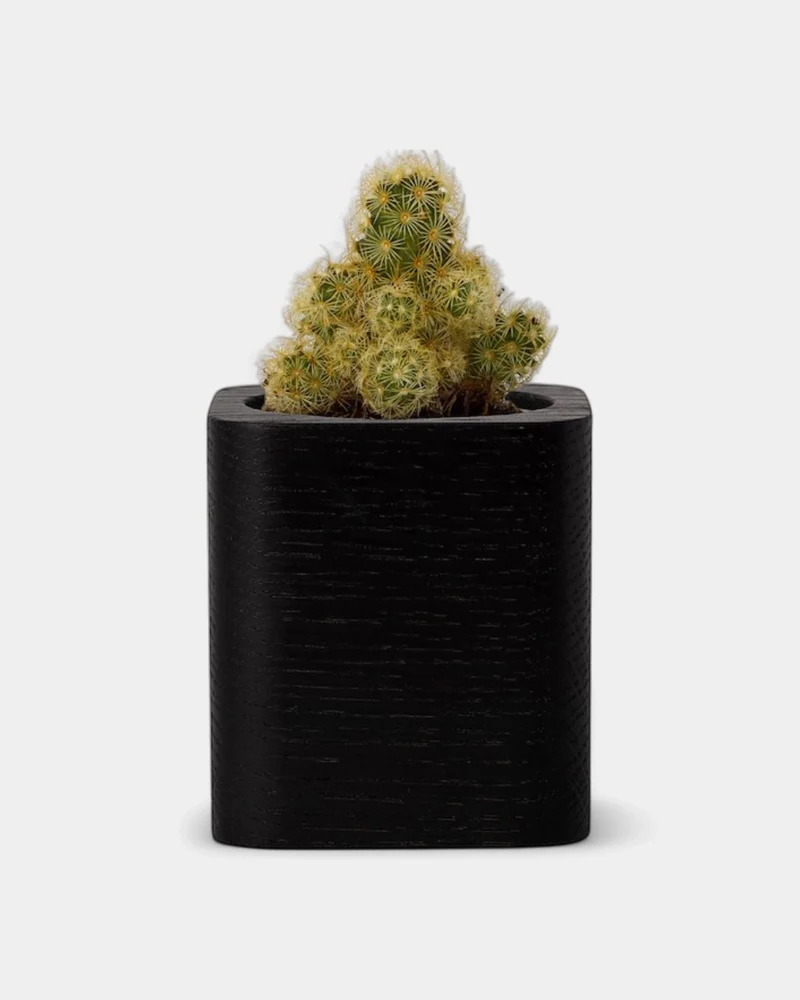 Pot cubique à personnaliser