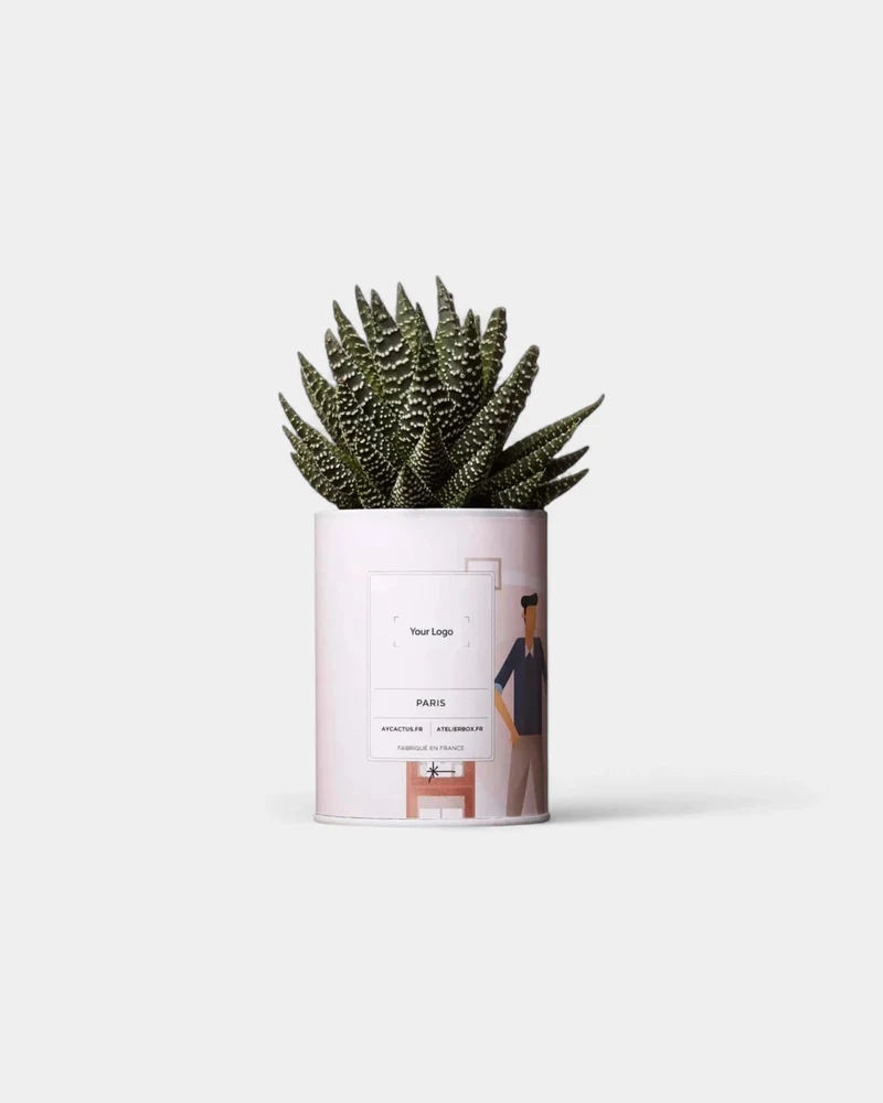 Cactus 100% Personnalisable - Ay Cactus