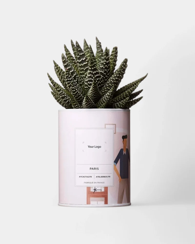 Cactus 100% Personnalisable - Ay Cactus