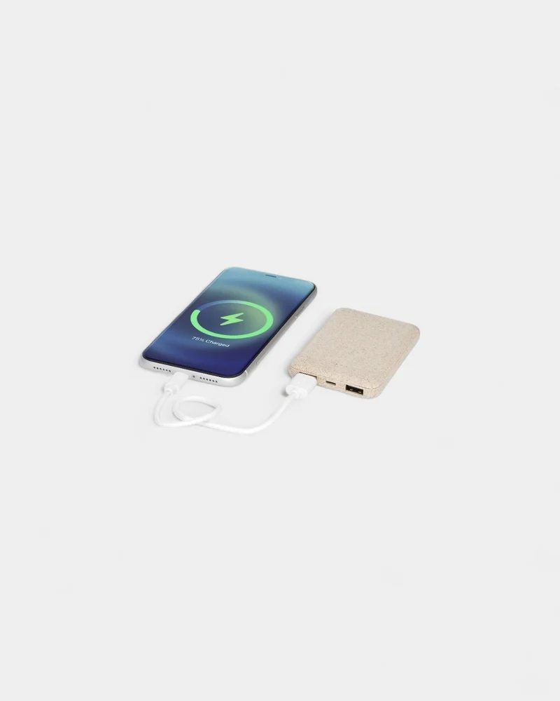 Batterie en paille de blé personnalisable